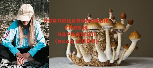каннабис Баксан